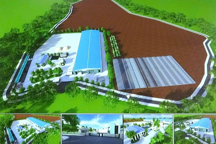 Dien Bien is about to have a cinnamon essential oil processing factory worth nearly 88 billion VND. Photo: Nam Ke Commune