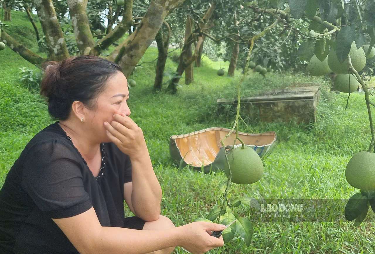 Ba Ta Thi Tuyen buon rau nhin vuon buoi gia dinh chim sau trong nuoc. Anh: Van Duc