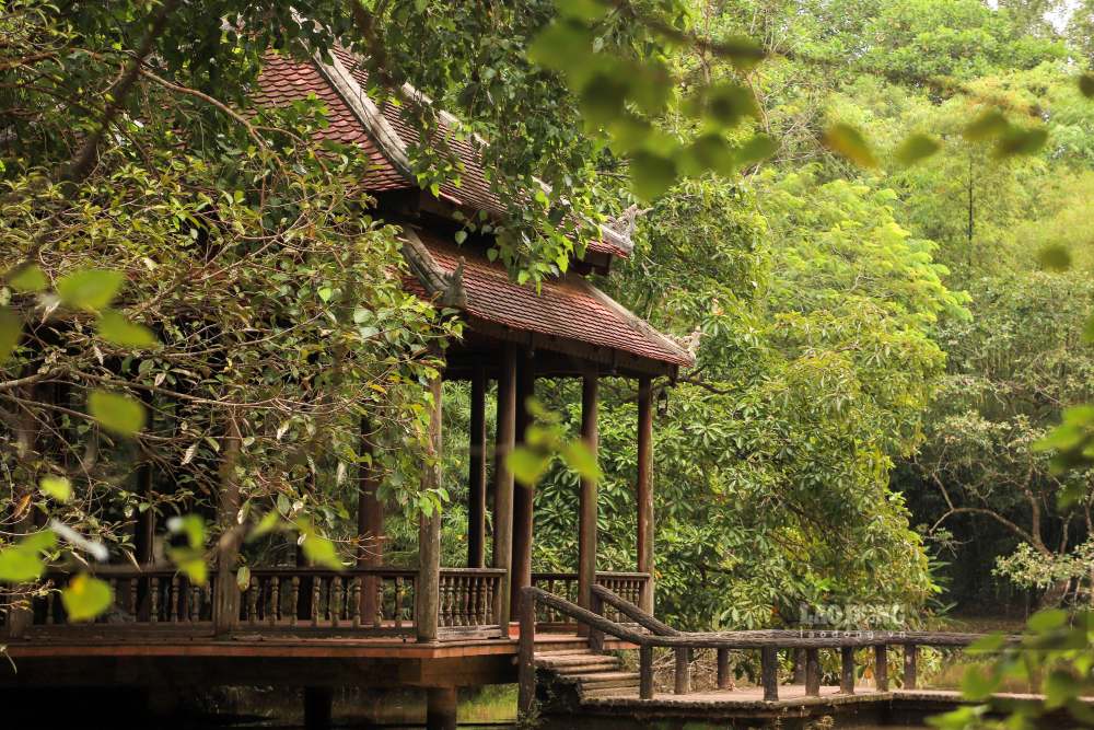 Dang chu y, ngoi chua la noi thien su Thich Nhat Hanh tung xuat gia tu hoc va cung la noi ma ong da quay ve an duong.