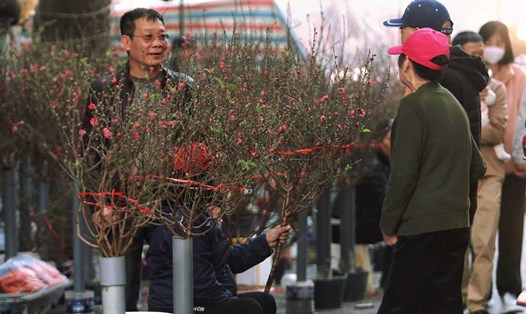 Chi tiết phương án nghỉ Tết Nguyên Đán Bính Ngọ 9 ngày liên tục