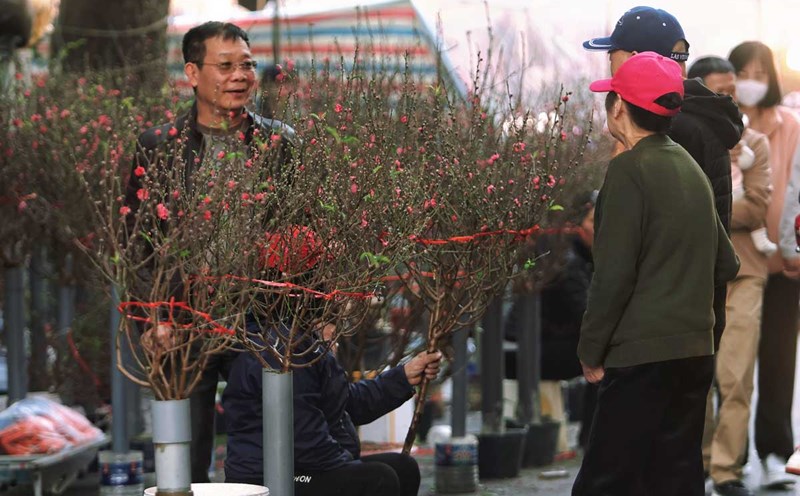 Details of the Lunar New Year holiday plan for Binh Ngo for 9 consecutive days