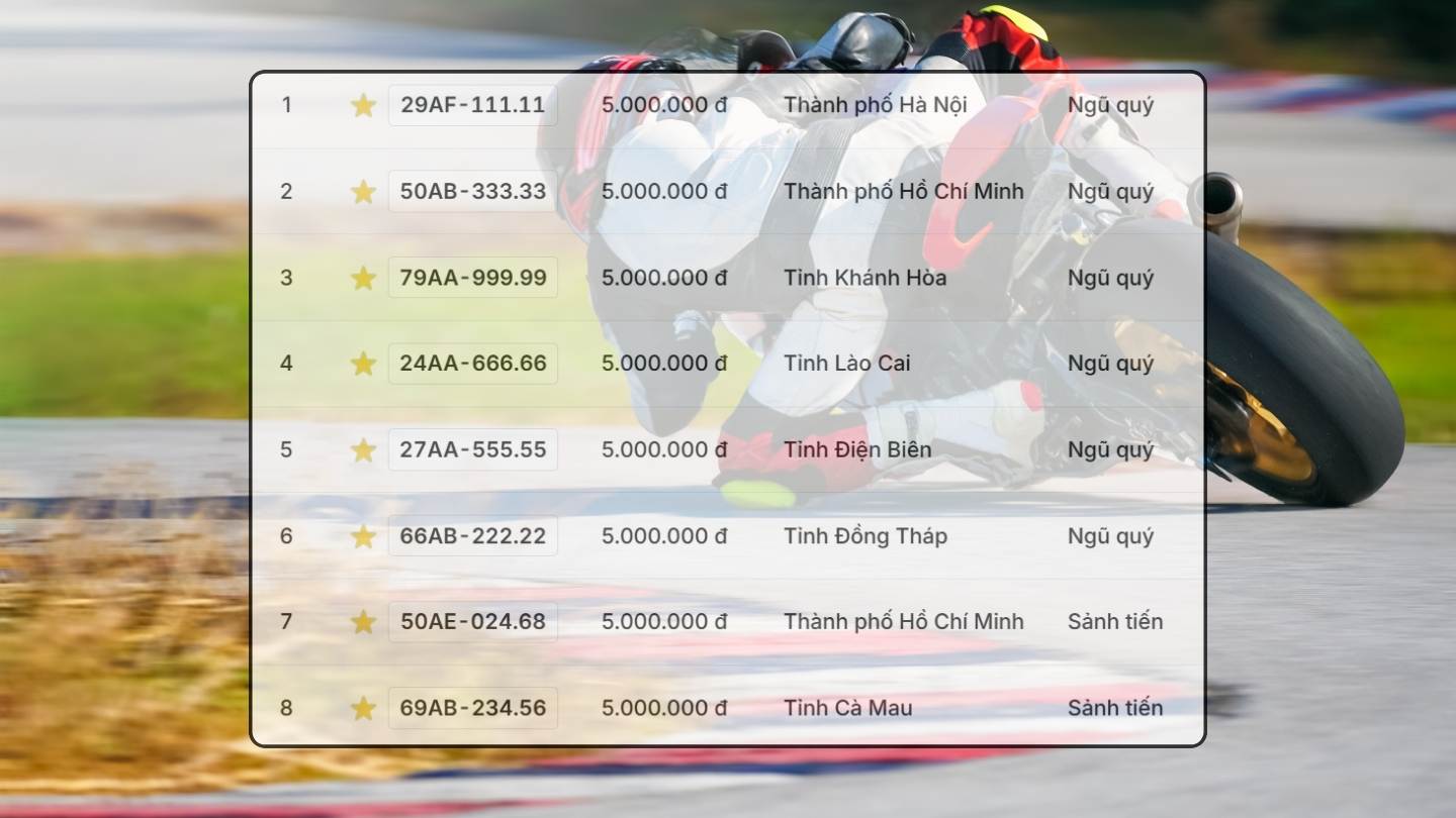 Bien so xe may co trong phien dau gia ngay 30.10. Do hoa: Hao Thien