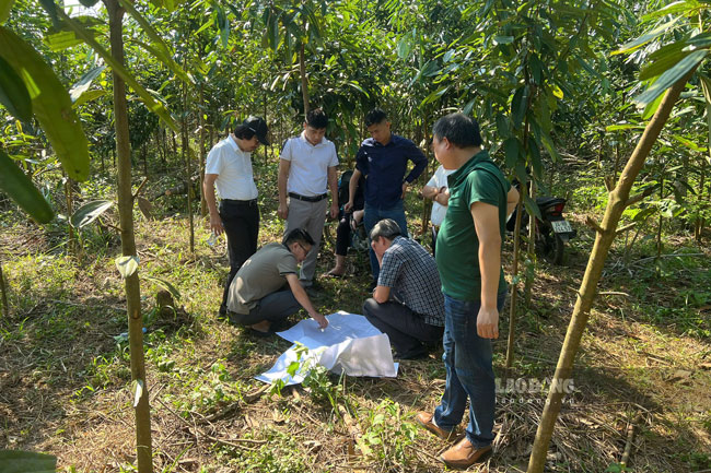 Cong tac kiem tra giai phong mat bang tai cac diem truong Pha Long va A Mu Sung duoc thuc hien dong loat de dam bao dung thoi diem khoi cong ngay 2.11. Anh: Dinh Dai