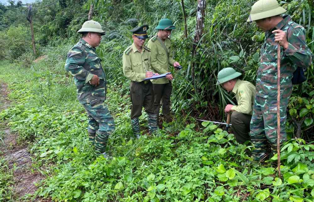 Doan giam sat do dem dau vet dong vat hoang da tren tuyen giam sat. Anh: Ban Quan ly Vuon quoc gia Bai Tu Long
