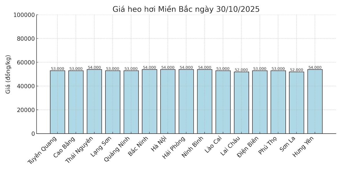 Gia heo hoi ngay 30.10 tai khu vuc mien Bac. Do hoa: Thuy Linh