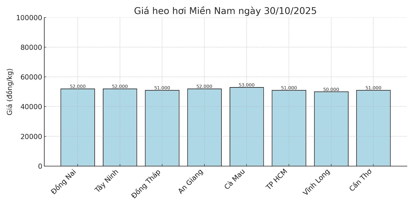 Gia heo hoi ngay 30.10 tai khu vuc mien Nam. Do hoa: Thuy Linh