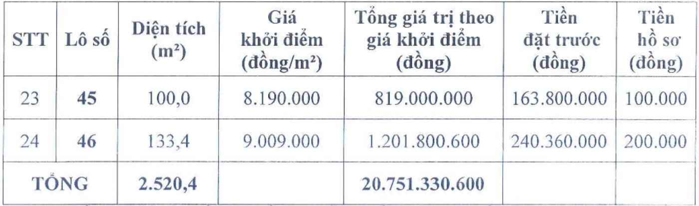 Thong tin phien dau gia 24 lo dat tai dinh cu xa Hung Phu, Hung Yen. Anh: Cong ty Dau gia Hop danh Lac Viet