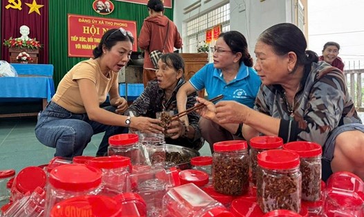 Phụ nữ thôn Phong Niên Hạ, xã Thọ Phong, tỉnh Quảng Ngãi chung tay rim cá cơm khô gửi tặng đồng bào vùng lũ Đà Nẵng. Ảnh: Viên Nguyễn