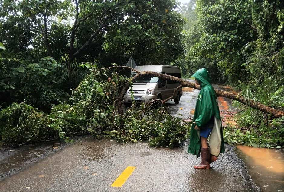 Luc luong chuc nang co mat xu ly cay rung nga do tren deo Gia Bac. Anh: Phuc Khanh