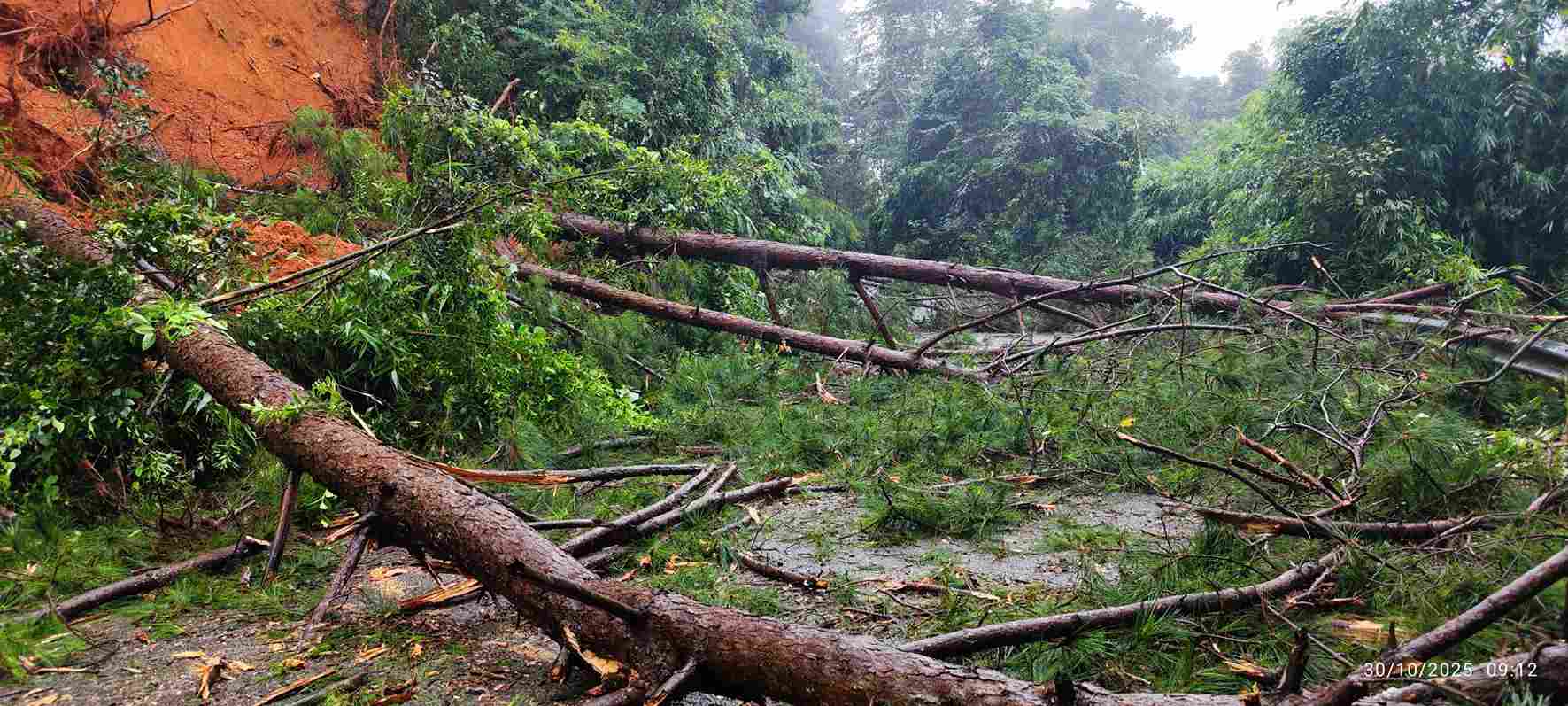 地滑りと森林倒木により、高速道路28号線（ラムドン）のザバック峠が渋滞しています。写真: フック・カーン