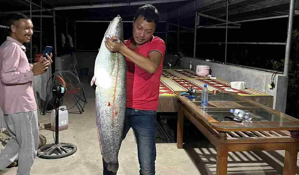 Con ca nheo dai hon 1 met, than to khoe, khien nhieu nguoi tram tro khi xem anh. Anh: Nhan vat cung cap