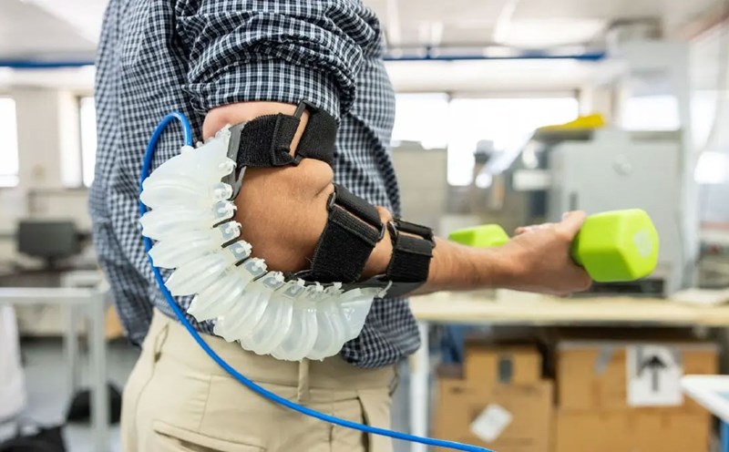 The skeleton supports the elbow with a press on the air (PASE). Photo: University of Texas in Arlington (USA)