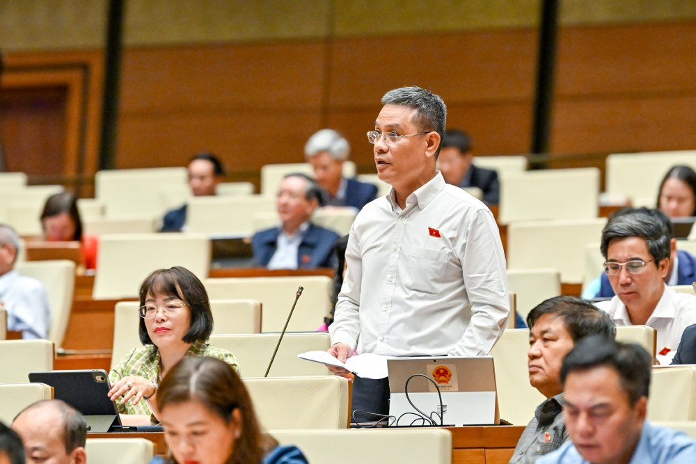 Dai bieu Dinh Ngoc Quy phat bieu. Anh: Pham Dong