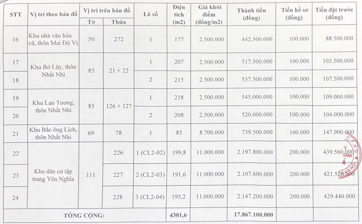 Thong tin phien dau gia 24 lo dat thuoc xa Tan Minh, tinh Ninh Binh. Anh: Cong ty Dau gia Hop danh Dong A