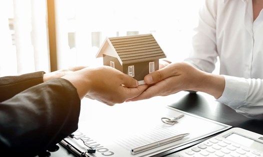 Thời hạn điều chỉnh quyết định giao đất, cho phép chuyển mục đích sử dụng đất tại Hà Nội