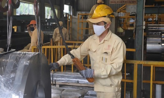 Lao động khu vực nông, lâm, thủy sản của Hà Nội giảm từ 8,31% (2019) xuống còn 5,51% (năm 2025) do lao động dịch chuyển sang ngành kinh tế khác. Ảnh: Hải Nguyễn