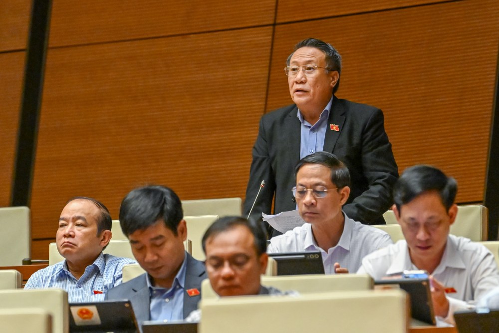 Dai bieu Ha Sy Dong (Doan Quang Tri) phat bieu. Anh: Pham Dong