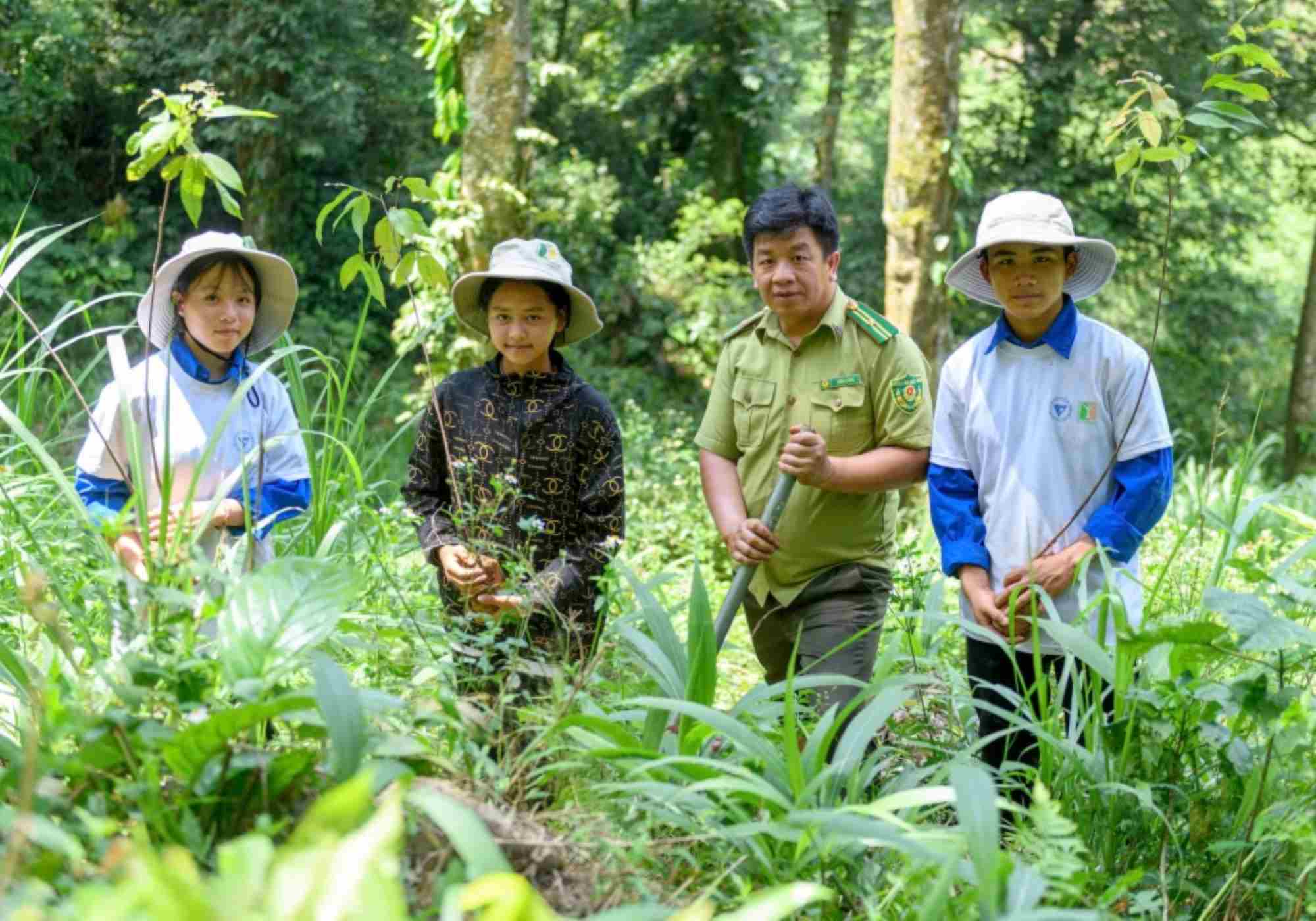 Conservation organizations launch forest patch planting campaigns. Photo: Duc Van