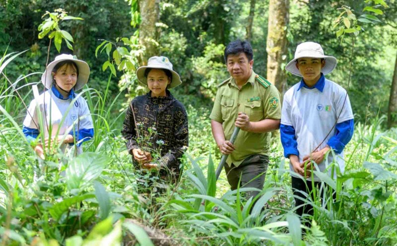 Conservation organizations launch forest patch planting campaigns. Photo: Duc Van
