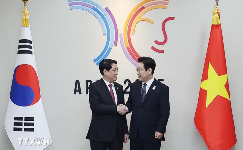 Politburo member and President Luong Cuong and President of South Korea Lee Jae Myung. Photo: VNA