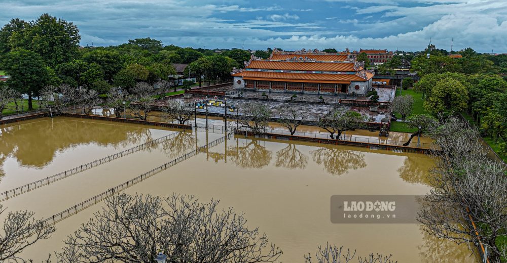 Nuoc lon, ho Thai Dich bi tran, ca trong ho lot ra ngoai.