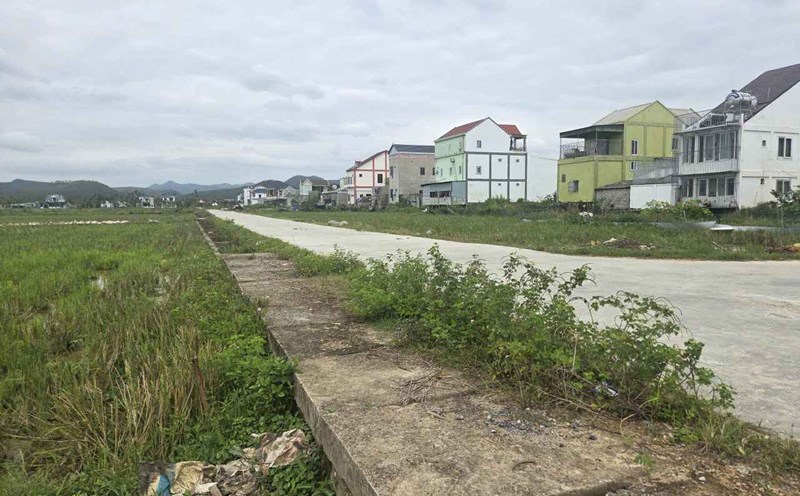 Debido a que la informacion relacionada con la planificacion de los lotes de tierra subastados no es precisa la gente solicito al Comite Popular de la comuna de Binh Minh que cancelara los resultados de la subasta. Foto: Quang Dai