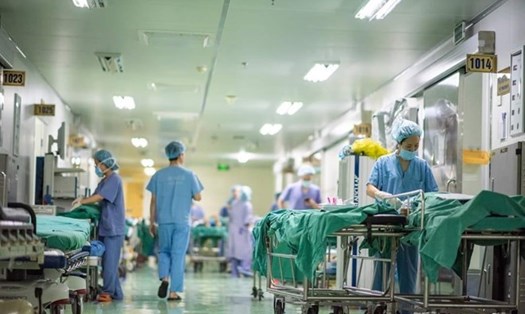 Công đoàn Y tế Việt Nam đã ban hành kế hoạch chăm lo Tết Nguyên đán Bính Ngọ 2026. Ảnh: Bống Vũ