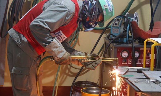 Lĩnh vực công nghiệp chế biến – chế tạo, động lực tăng trưởng chính của Khánh Hòa, hiện đang thiếu hụt lao động. Ảnh: Phương Linh.