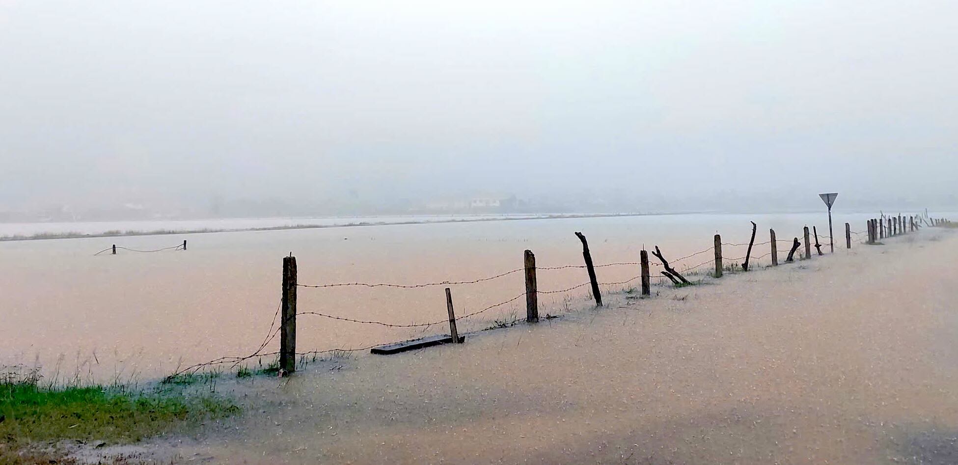 Ha Tien village area, where Mr. P drowned and died. Photo: Van Ty
