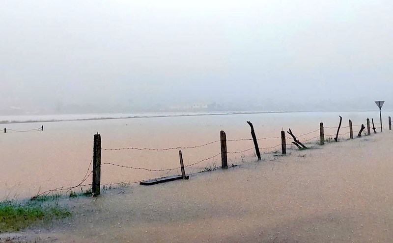 Ha Tien village area, where Mr. P drowned and died. Photo: Van Ty