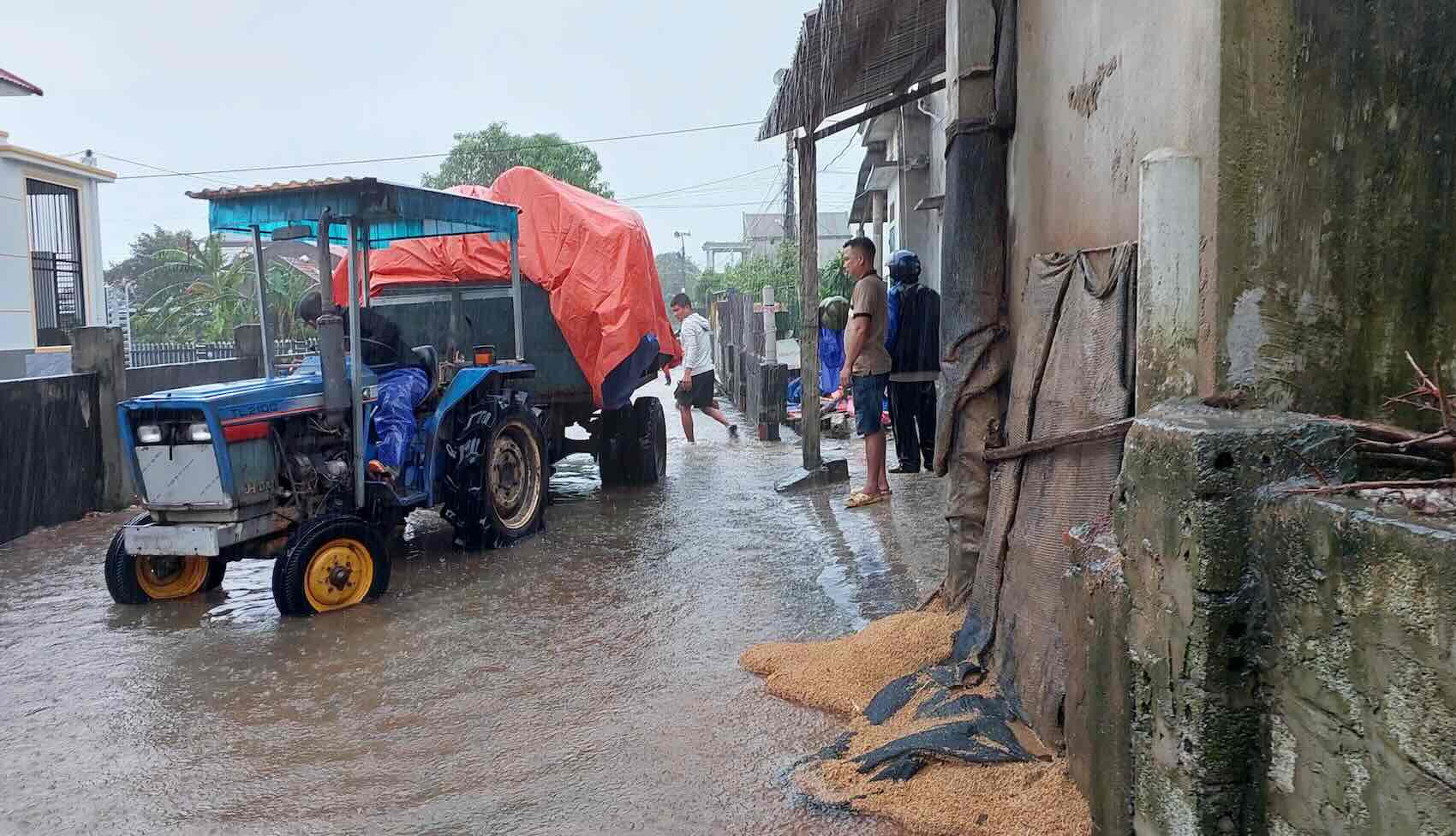 People use tractors to attach boxes to transport rice to high ground to avoid flooding. Photo: Thanh Son