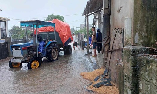 Người dân dùng máy cày gắn thêm thùng vận chuyển lúa đến nơi cao tránh lũ. Ảnh: Thanh Sơn