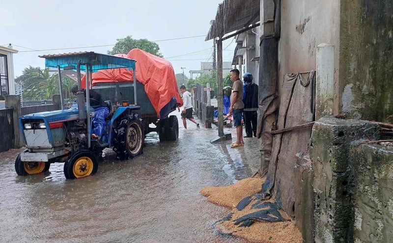 People use tractors to attach boxes to transport rice to high ground to avoid flooding. Photo: Thanh Son