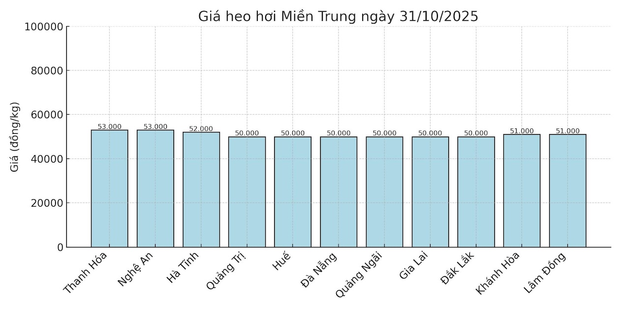 Gia heo hoi ngay 31.10 tai khu vuc mien Trung. Do hoa: Thuy Linh