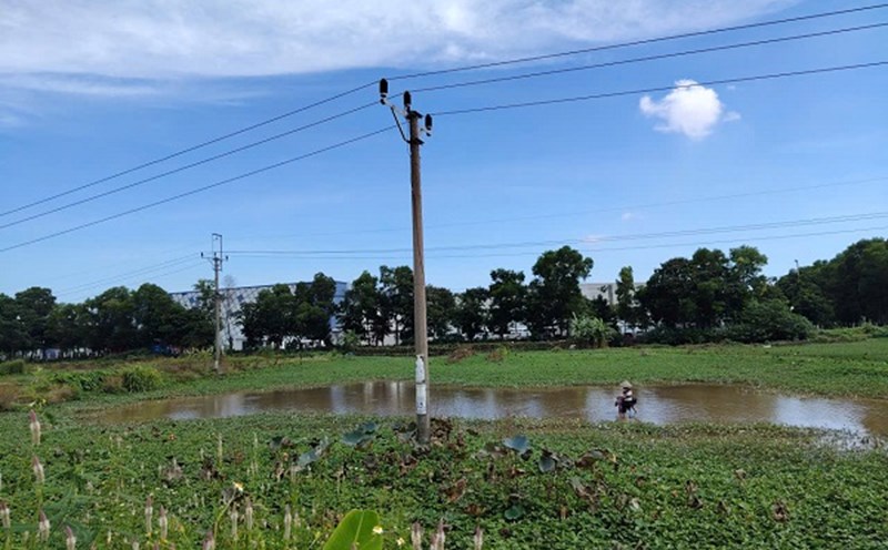 Many people have regulated the issuance of red books for vacant land. Photo: Xuyen Dong