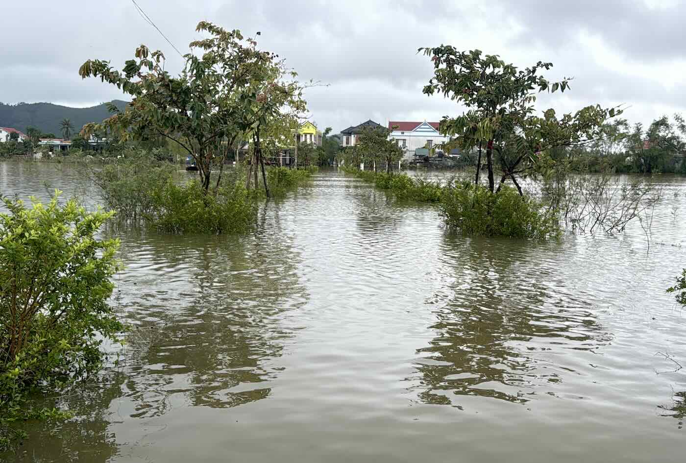 Nhieu vi tri nuoc ngap o xa Bac Trach. Anh: Cong Sang