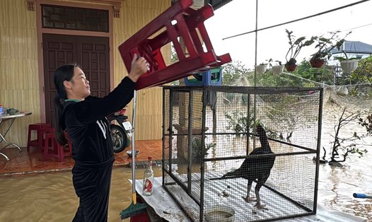 Người dân kê cao đồ, vật nuôi lên cao. Ảnh: Công Sáng