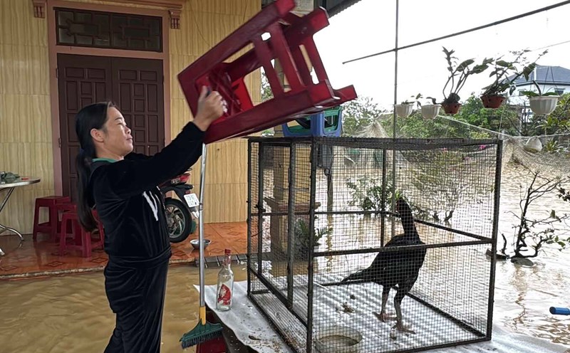People raise their belongings and pets to high ground. Photo: Cong Sang