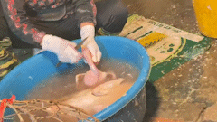 ハノイ、食料不安を引き起こす自然発生的屠殺現場の検査と対応を強化