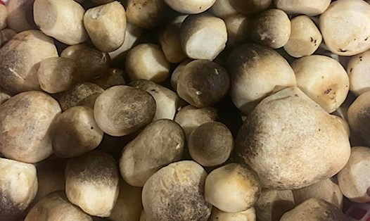 Nấm rơm kết hợp đậu xanh… làm món ăn hỗ trợ giảm axit uric. Ảnh: Quang Minh.