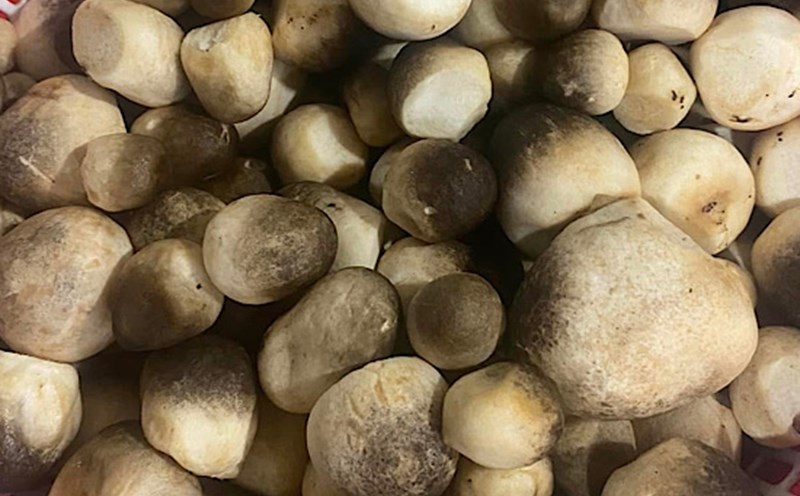 Straw mushrooms combined with green beans... are a dish that helps reduce uric acid. Photo: Quang Minh.