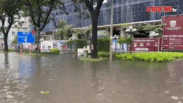 Water flooded deeply in some sections of National Highway 51, the section passing through Phu My Ward, Ho Chi Minh City. Photo: Thanh An