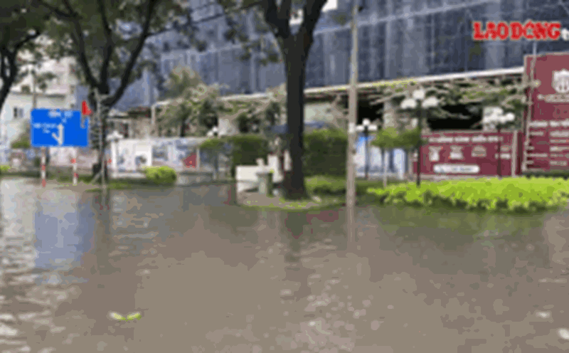Water flooded deeply in some sections of National Highway 51, the section passing through Phu My Ward, Ho Chi Minh City. Photo: Thanh An