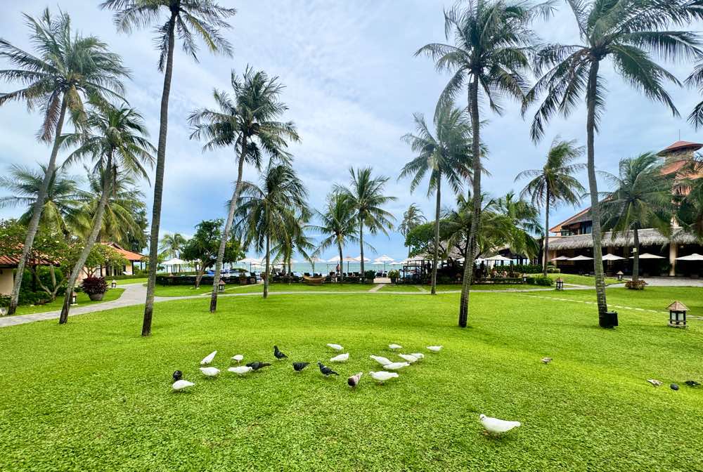 Cac khu du lich, resort o Mui Ne chu trong tang khong gian xanh tai co so. Anh: Duy Tuan