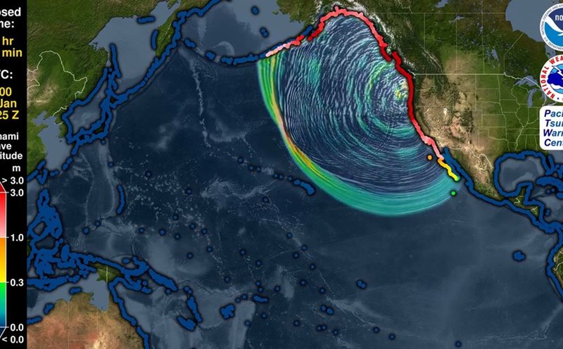 A simulation by the US National Oceanic and Atmospheric Administration (NOAA) shows a massive Tsunami after a 9.0-magnitude richter earthquake in the Cascadia subduction area in January 1700. Photo: NOAA