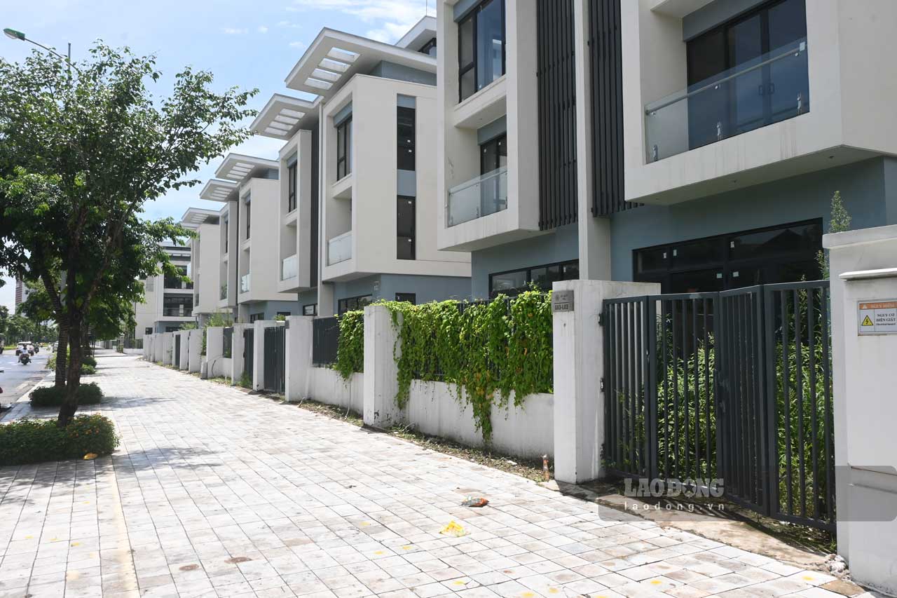 ドゥオンノイ市街地（ハノイ市）の多くの家は無人で、雑草が生い茂っています。写真: タン・ニャン