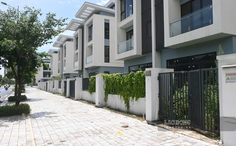 Many houses in Duong Noi urban area (Hanoi City) have no residents, and weeds are growing wildly. Photo: Thanh Nhan