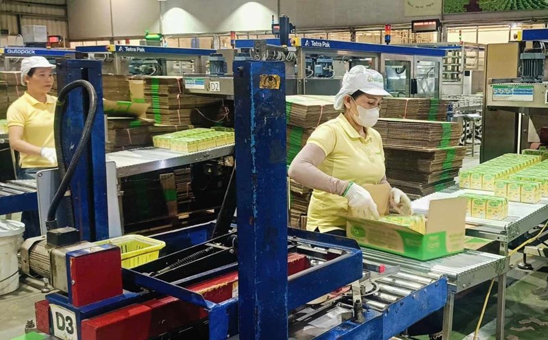 Enterprises and workers need to adapt to technology for sustainable development