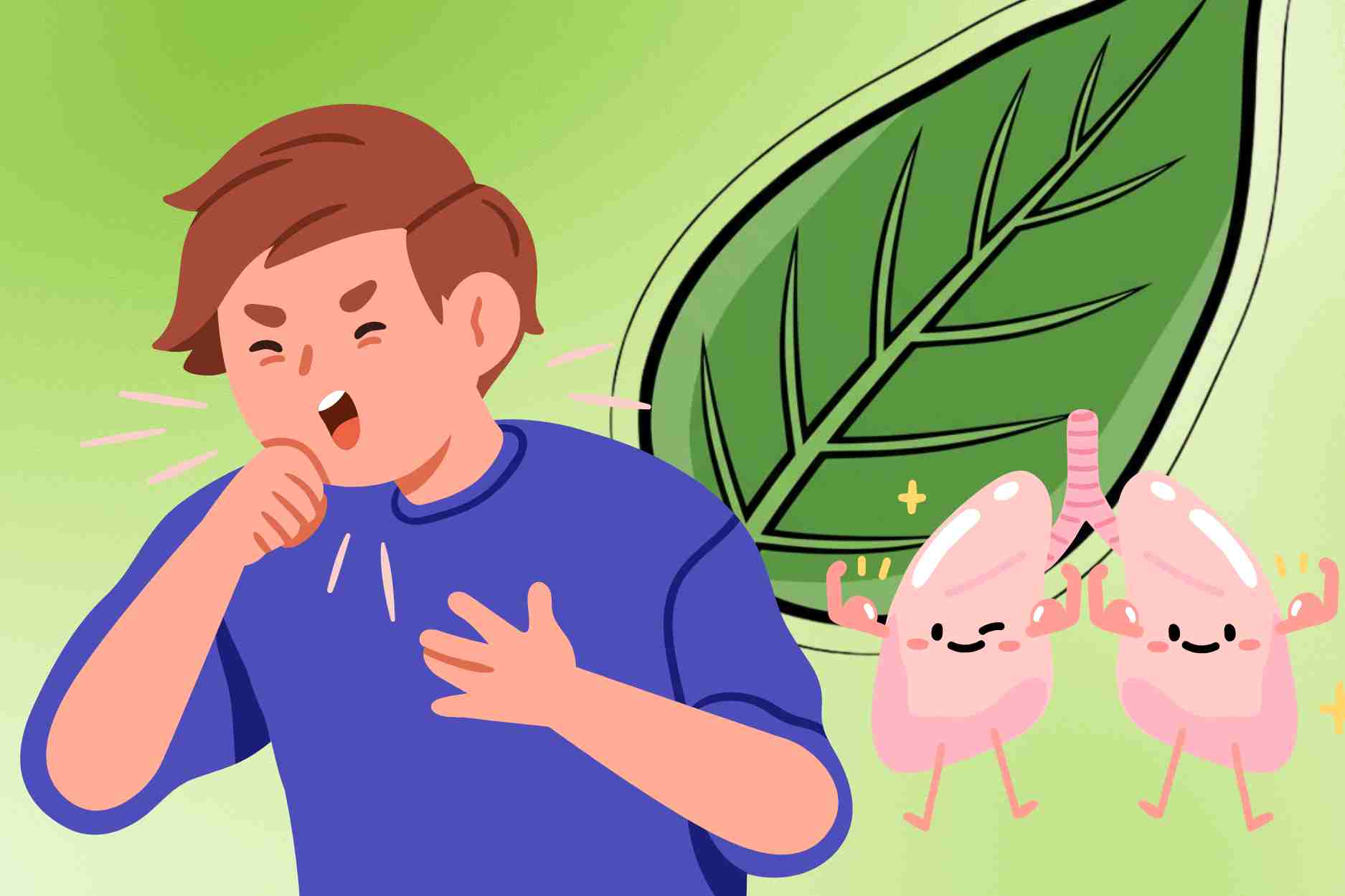 Natural medicine helps clean the lungs, effectively reduce cough when the weather changes