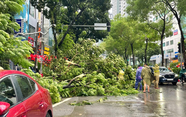 Hanoï exige la mise en œuvre stricte du plan de reponse a la tempete n° 11. Photo : Minh Chinh